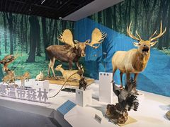 -中国湿地博物馆