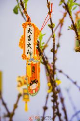 -意施精准塑形普拉提