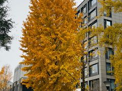 -小土豆北方菜馆(文慧园店)