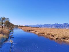 -野鸭湖国家湿地公园