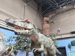 -国家自然博物馆