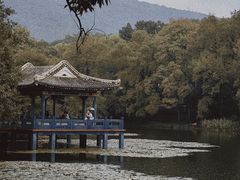 -灵谷景区