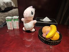 -常州环球恐龙城维景国际大酒店