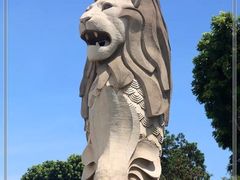 -新加坡海洋生态馆