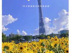 -海心沙亚运公园