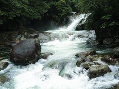-大鄣山卧龙谷景区