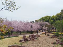 -苏州上方山国家森林公园