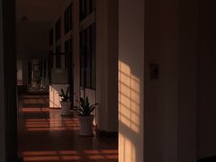 -胡志明市美术馆