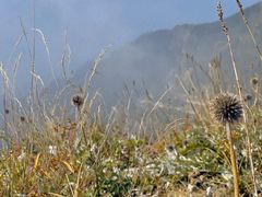-白草畔自然风景区