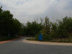 -大兴滨河森林公园