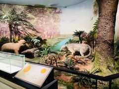 -湖南省地质博物馆