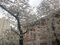 -浙江省杭州高级中学(贡院校区)