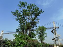 -武汉紫薇都市田园