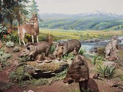 -陕西自然博物馆