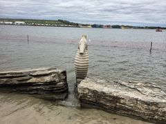 -呼兰河口湿地公园