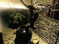 -几荷·恰似故人来(秀水广场店)