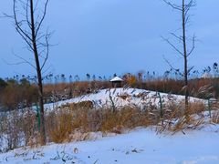 -东郊湿地公园