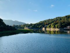 -九鲤湖风景区