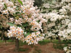 -元大都城垣遗址公园