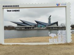 -盐城丹顶鹤湿地生态旅游区