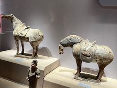 -西安博物院