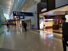 -达拉斯 沃斯堡国际机场