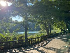 -井之头恩赐公园