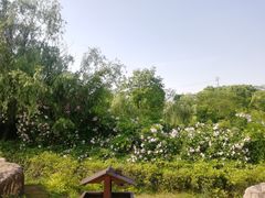 -杏花村文化旅游区