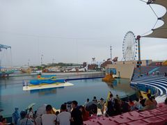 -秦皇岛乐岛海洋王国