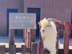-丽江金茂凯悦臻选酒店-滇香馆