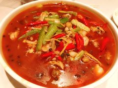 -杨氏青龙虾·羊蝎子(金盛路总店)