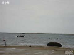 -碧海金沙