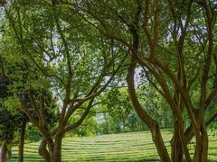 -敬亭山风景名胜区