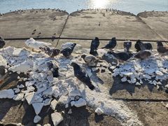 -星海广场