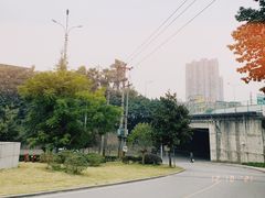 -重庆彩云湖湿地公园