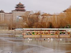 -莲花池公园