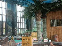 -长白山乐高美温泉度假酒店