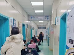 -北京观赏动物医院·24小时大型综合·猫专科·异宠专科