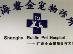 -睿金宠物医院·CT·肿瘤·骨外科