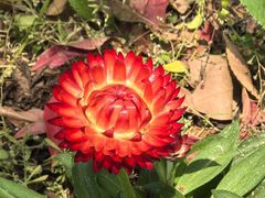 -上海交通大学(闵行校区)