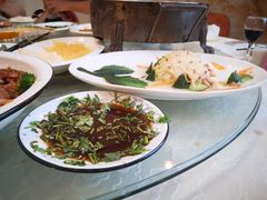 -丁老爷子苏香圆