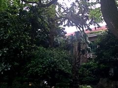 -申粤轩酒楼·三十年粤菜经典(丁香花园店)