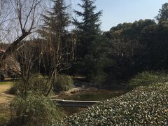 -棕榈岛海鲜自助餐厅(虹桥迎宾馆店)