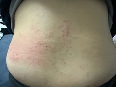 -艺水间水汇