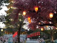 -厦门方特东方神画
