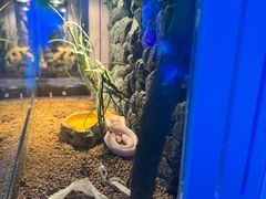 -海合安青岛极地海洋公园