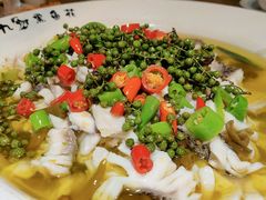 藤椒鱼-三猫黑鱼花(南大店)