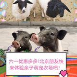 六一狂欢｜团购太优惠啦!｜一起到户外呼吸新鲜空气和萌宠玩吧！