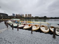 -龙寺生态园
