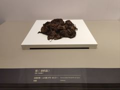 -齐文化博物馆